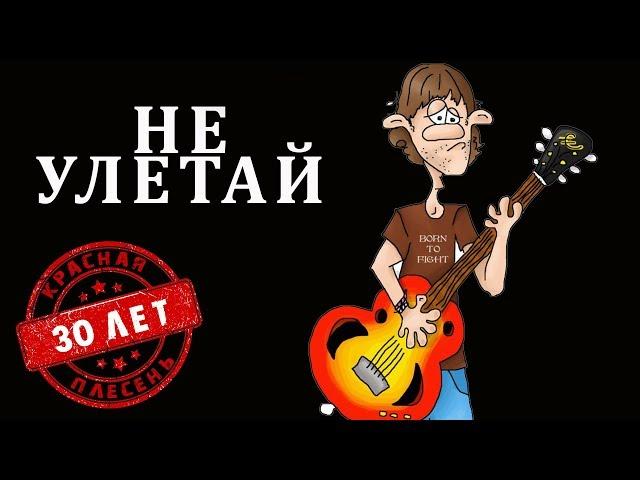 Красная Плесень - Не улетай | Лучшие песни