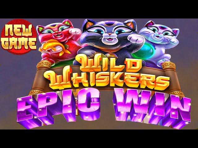 New Game Wild Whiskers 40 SPIN BONUS EPIC WIN Chumba Casino