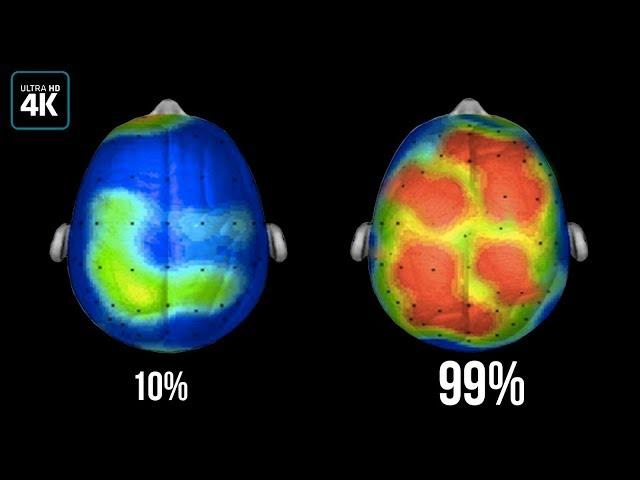 Что, если мы будем использовать 100% мозга?