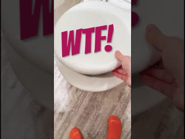 WHAT THE F*CK IS IN MY TOILET