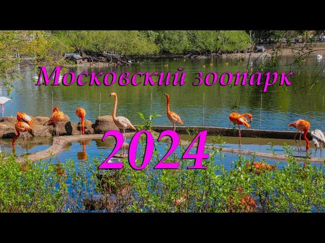 Московский зоопарк - 2024.