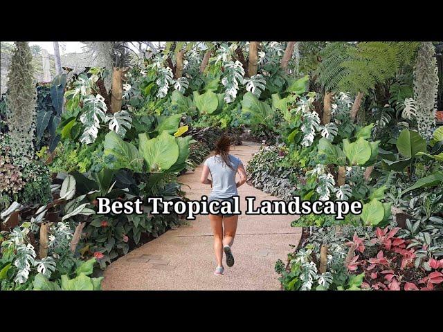 Amazing Tropical Landscape Idea in the Philippines #tropicalgarden #landscaping #philippines