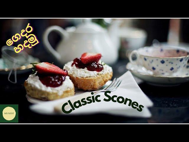 Recipe for Classic English Scones | Irish Scones | ස්කෝන්ස් By MS NEST.