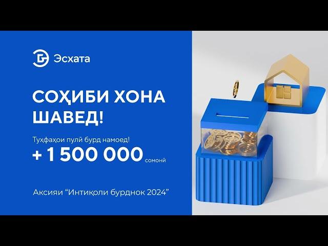 Интиколи бурднок 2024