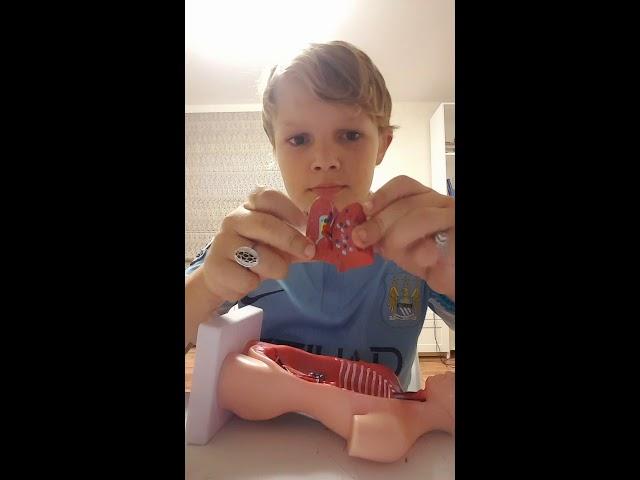 Мой первый ролик про анатомию человека.