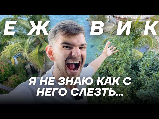 Ел ежовик ложками 400 дней и вот что из этого вышло #ежовик #депрессия