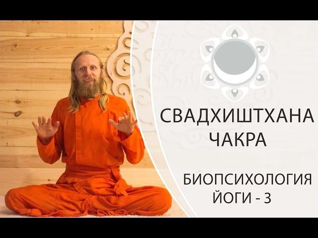 БИОПСИХОЛОГИЯ ЙОГИ-3. СВАДХИСТАНА ЧАКРА.