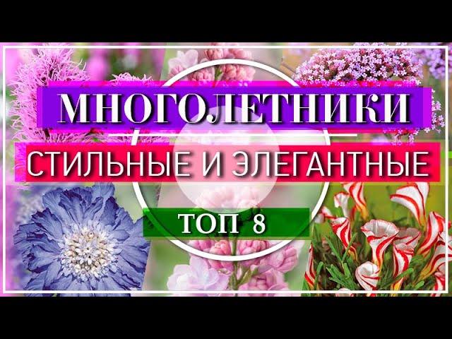  8 МОДНЫХ Растений для Сада 