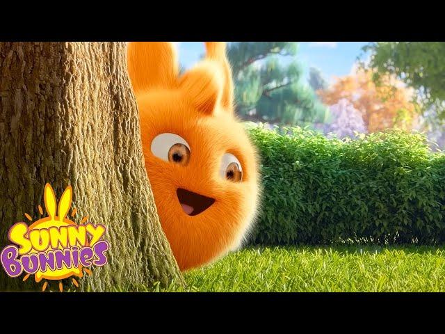 Pegando o Grande Boo! - Sunny Bunnies | Maratona da Temporada 2 | Desenhos Engraçados para Crianças