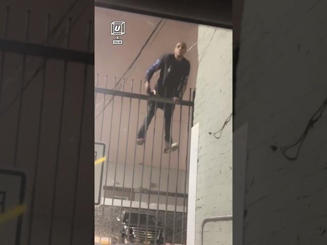 Fence climbing gone wrong                      : Collab