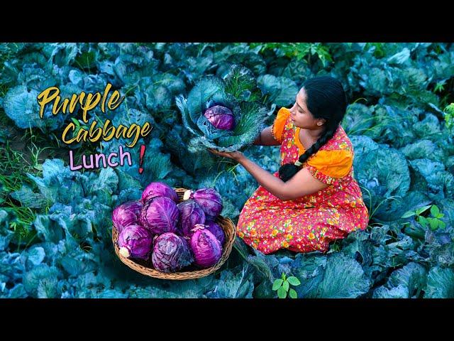 I made colourful stir-fry Noodles and Purple Soup for Lunch with Purple Cabbages! | Traditional Me