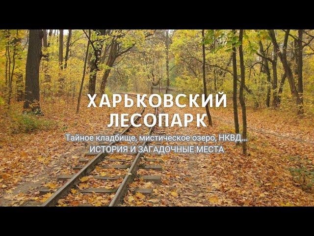 Kharkiv Lesopark: what the forest area hides