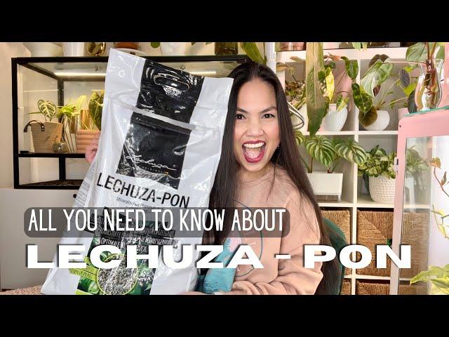  Why I moved 200+ plants to LECHUZA-PON | Honest Review | Repotting different substrate to PON 