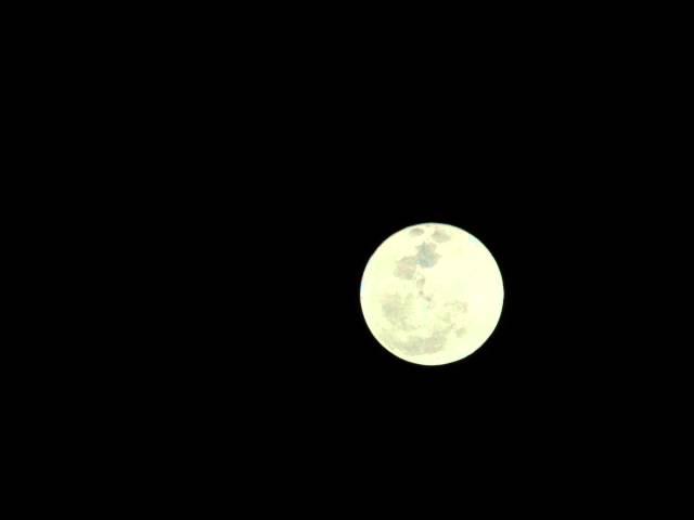 Timelapse - Miami Moon