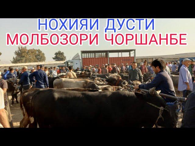 НОХИЯИ ДУСТИ ЧОРШАНБЕ МОЛБОЗОР 25.09.2024.г