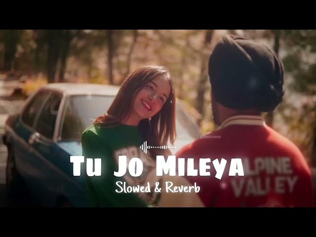 JUSS - Tu Jo Mileya (Slowed & Reverb) MixSingh | New Punjabi Romantic Song 2024 | Mohib Beats