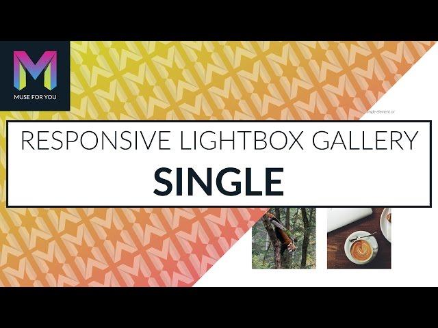 Responsive Lightbox Gallery Single | Update 1.5 | Adobe Muse CC | Muse For You