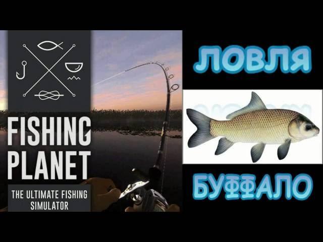 Fishing planet. ловля буффало на озере лоун стар