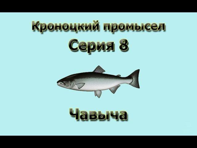 Русская Рыбалка 3.99 (Russian Fishing) Кроноцкий промысел 8 - Чавыча