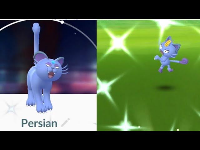 Evolución de MEOWTH de ALOLA SHINY  a PERSIAN de ALOLA SHINY en POKEMON GO