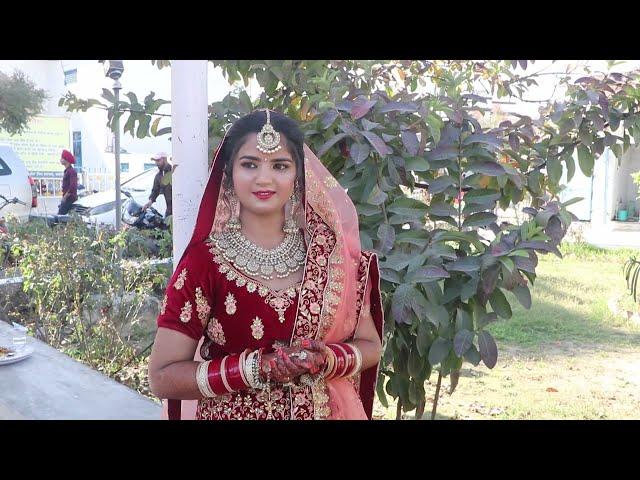 06 Tu Jo Mileya || Rajan Weds Rajwinder || Wedding (Raja Hardochani)