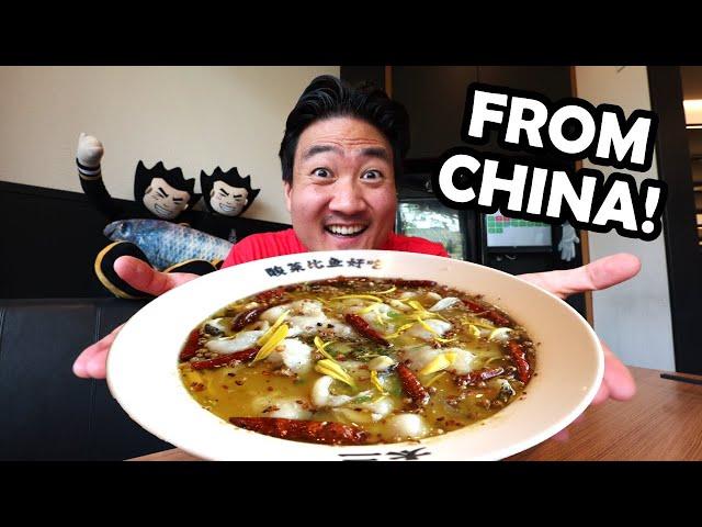 Trying China's #1 SICHUAN FISH Dish! Over 20 Million Sold Every Year!