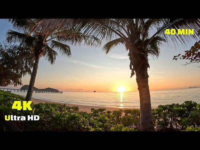 Virtual Run Tropical Beach - Palm Cove 4K - Running Video - Virtual Scenery - Australia Walking Tour