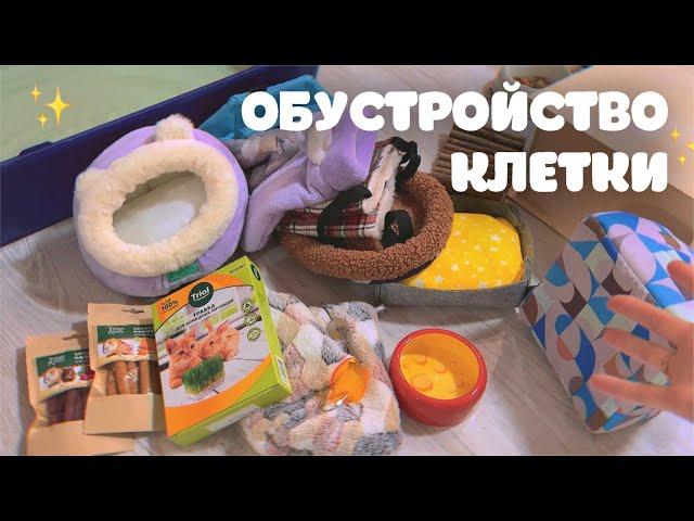 ОБУСТРАИВАЮ КЛЕТКУ НОВЫМИ ВЕЩАМИ ДЛЯ КРЫС️ *реакция крыс*