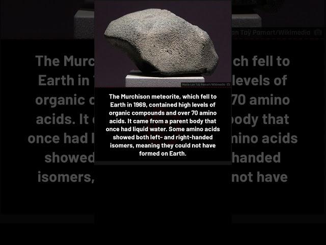 Meteorite that fell on earth in 1969 #meteor #cosmos #history #space