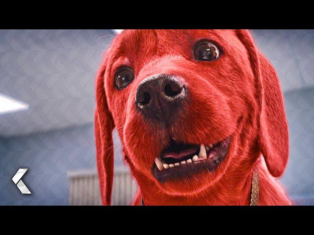 Riesenhund beim Tierarzt - CLIFFORD DER GROSSE ROTE HUND Clip & Trailer German Deutsch (2021)