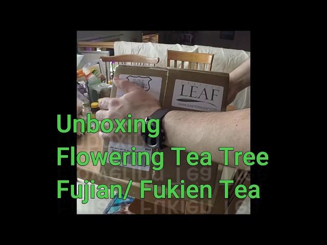 Unboxing I Flowering Tea I Fujian/ Fukien Tea I Eastern Leaf