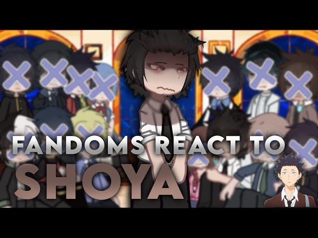 — Fandoms react to Shoya Ishida || (5/13) || Shoko x Shoya || 🪼