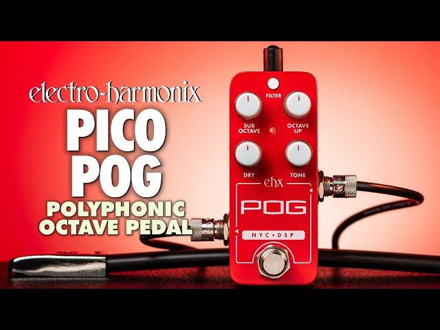 Electro-Harmonix PICO POG Polyphonic Octave (EHX Demo by BILL RUPPERT)