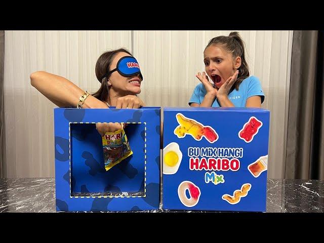 BU MIX HANGİ HARIBO MIX | HARIBO CHALLENGE