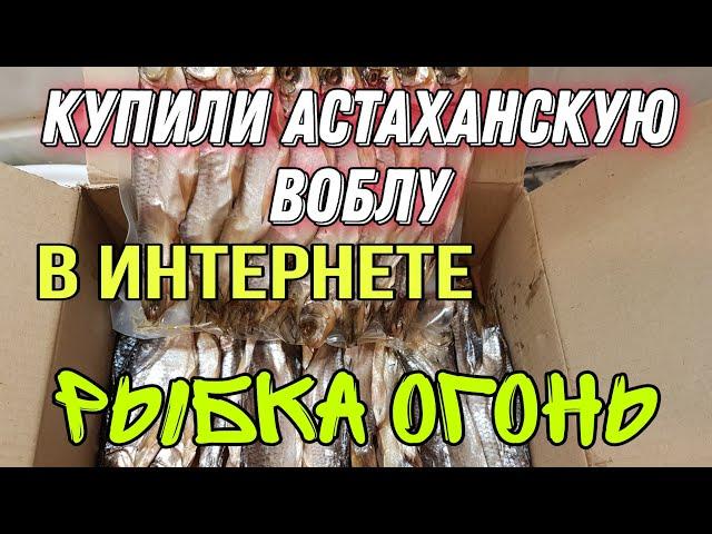 Заказали воблу из Астрахани в первый раз... рыбка огонь!!!