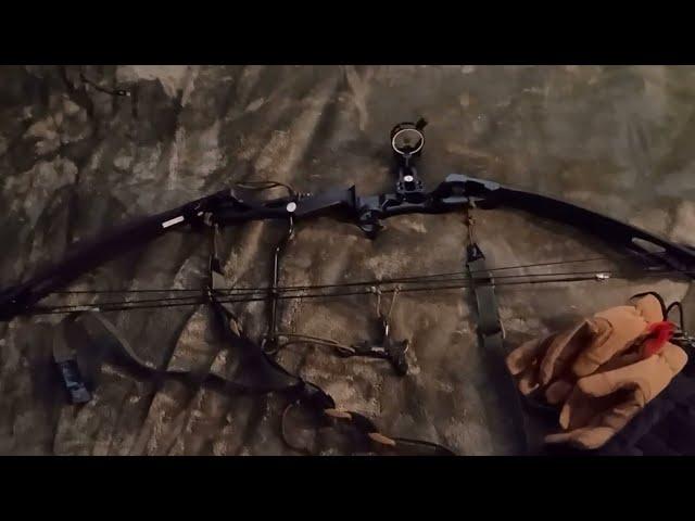 Amazon Compound Bow SAS Siege 55lb (Rambo 1st Blood Pt2) & Pro Accessories Package Video Review