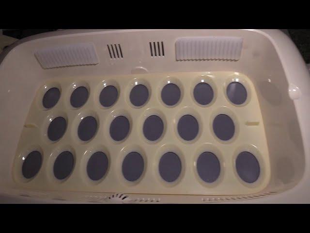 Rcom Pro 20 Automatic Digital Egg Incubator & Hatcher full look & review