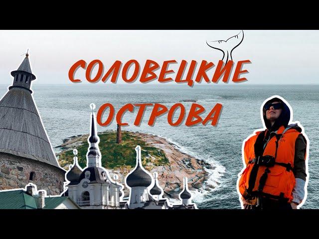 СОЛОВЕЦКИЕ ОСТРОВА | БЕЛУХИ | АНЗЕРСКИЕ СКИТЫ | СОЛОВЕЦКИЙ МОНАСТЫРЬ | КАНАЛЫ | ИНФА ТУРИСТАМ | ЦЕНЫ