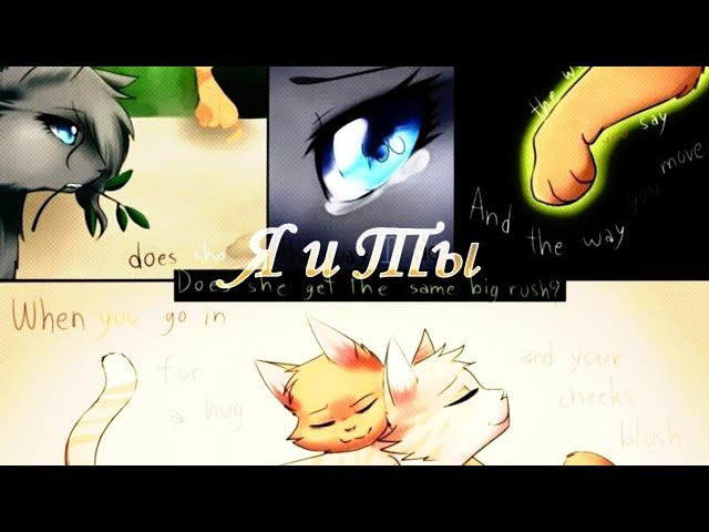 Клип Коты Воители  "Я и Ты" Пепелица и Огнезвезд|Cat Warrios Cinderpelt and Firestar|√ Black Cat𓃠√