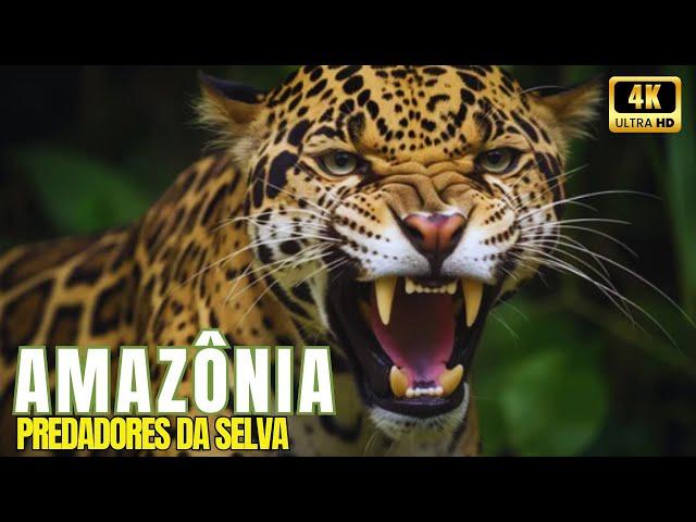  Amazônia Selvagem - Os Maiores Predadores da Selva Amazônica   Documentário sobre Animais 