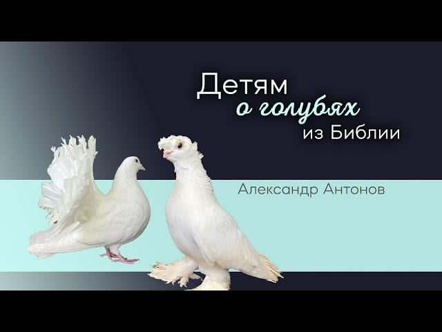 Детям о голубях из Библии | Библейские уроки для детей | Александр Антонов