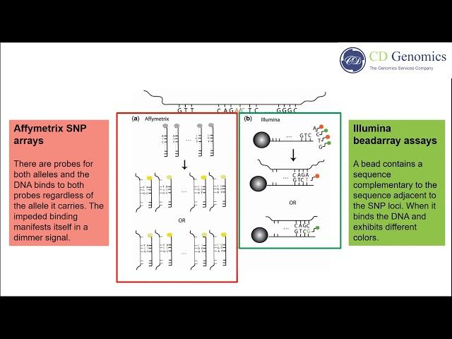 SNP Genotyping Technologies