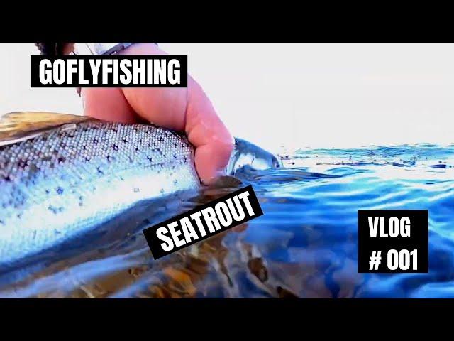 Sea trout fishing Norway - HAVØRRED,SJØØRRET- Fly Fishing Vlog #1 Seatroutfishing in the Oslofjord.