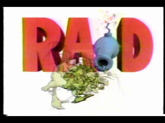 Raid