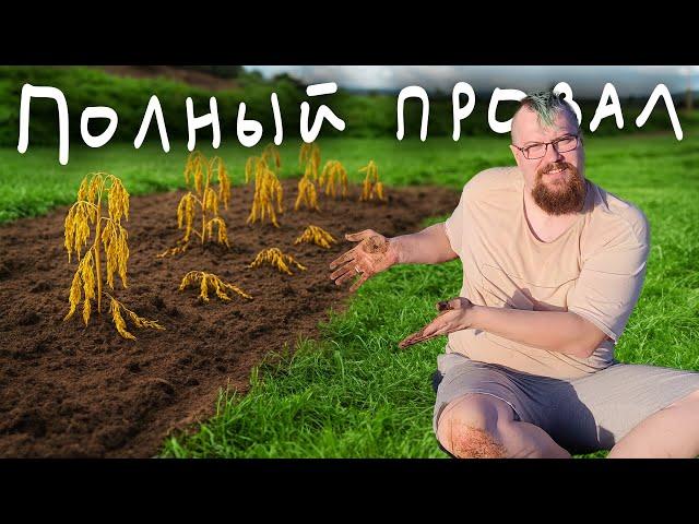 Кажется я убил все растения на участке :(