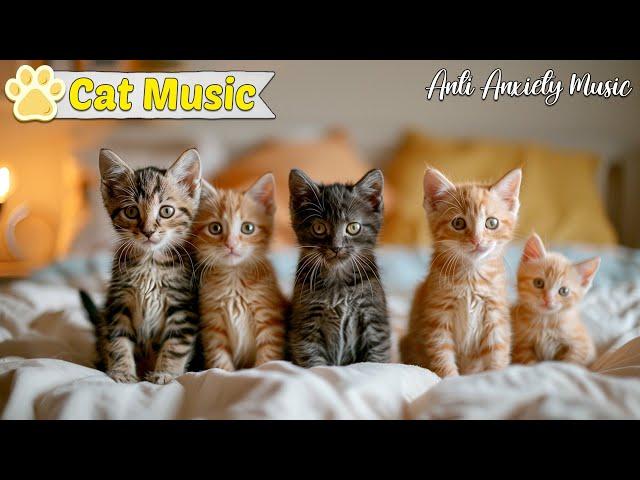 Soothing music for anxious cats: Soothing sounds promote deep relaxation and sleep for cats