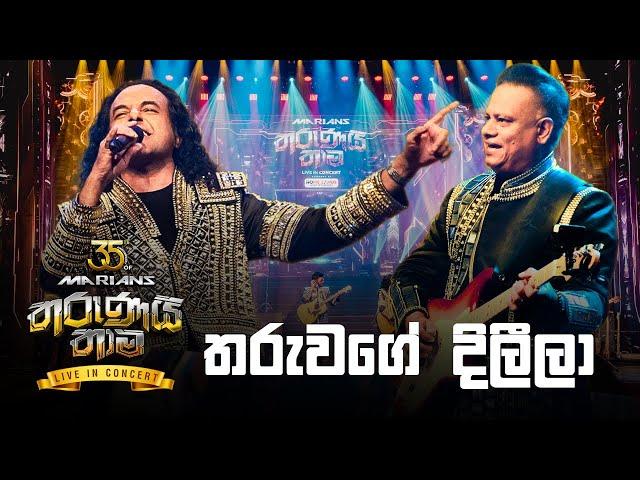 Tharu Wage Dileela ( තරු වගේ දිලීලා ) | Nalin Perera | Marians Tharunai Thaama Live