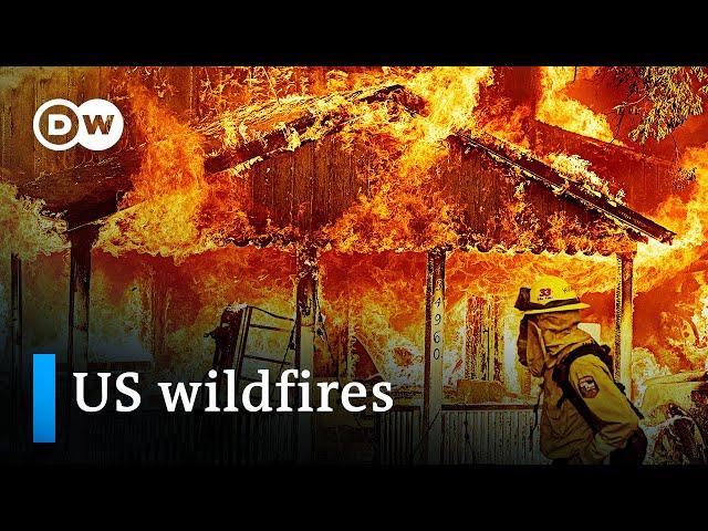 US heat wave: Wildfire season could be the most destructive yet | DW News