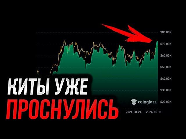 ️БИТКОИН - Киты взялись за дело! | Прогноз | Сегодня | Трейдинг