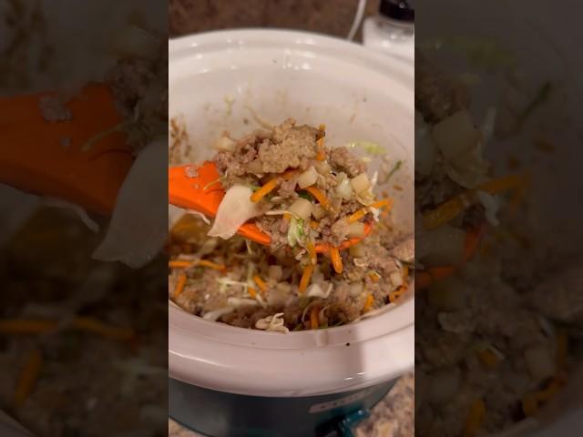 Egg Roll in a Crockpot? Easy Dinner Recipe! #recipe #mealprep #mealinspo